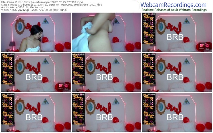 cam4-elektracooper-02_15_2022-07_53_18