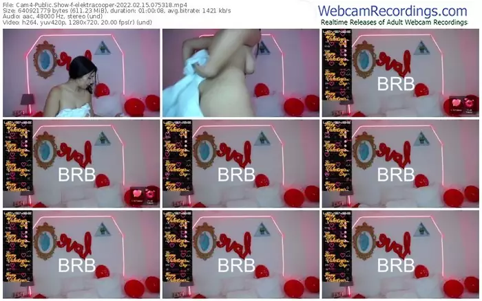 cam4-elektracooper-02_15_2022-07_53_18