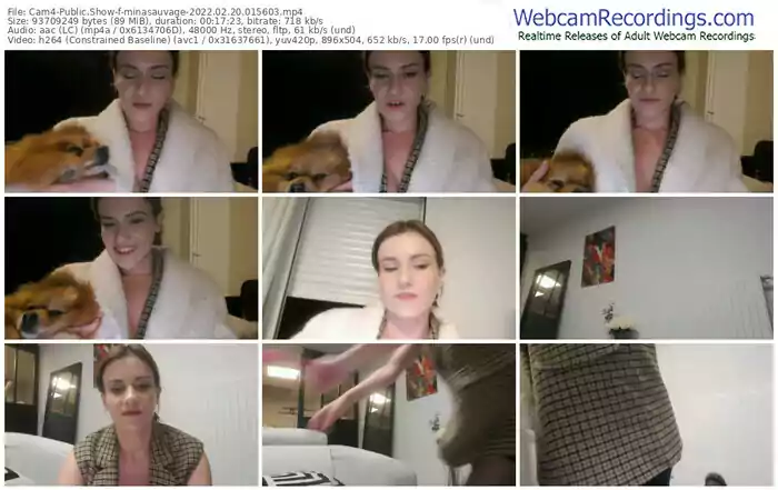 cam4-minasauvage-02_20_2022-01_56_03