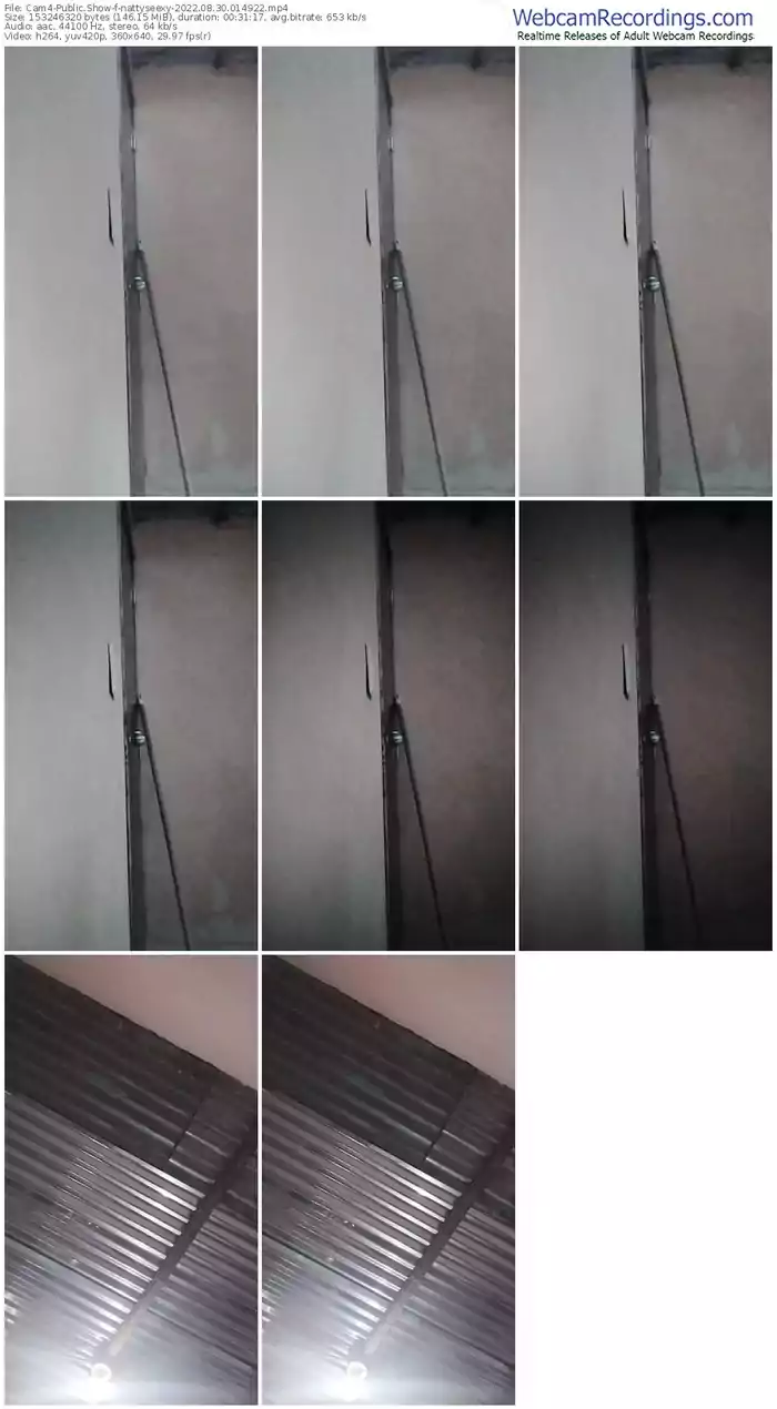 cam4-nattyseexy-08-30-2022-01-49-22