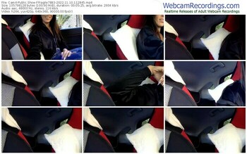 cam4-fragile7883-11-10-2022-11-28-45