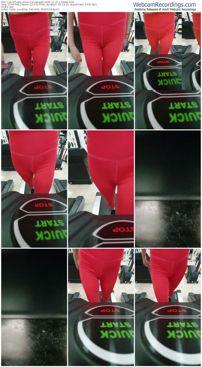 cam4-eveangelll-11-22-2022-13-38-06