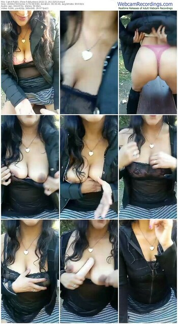 cam4-delysteve-11-26-2022-13-25-19