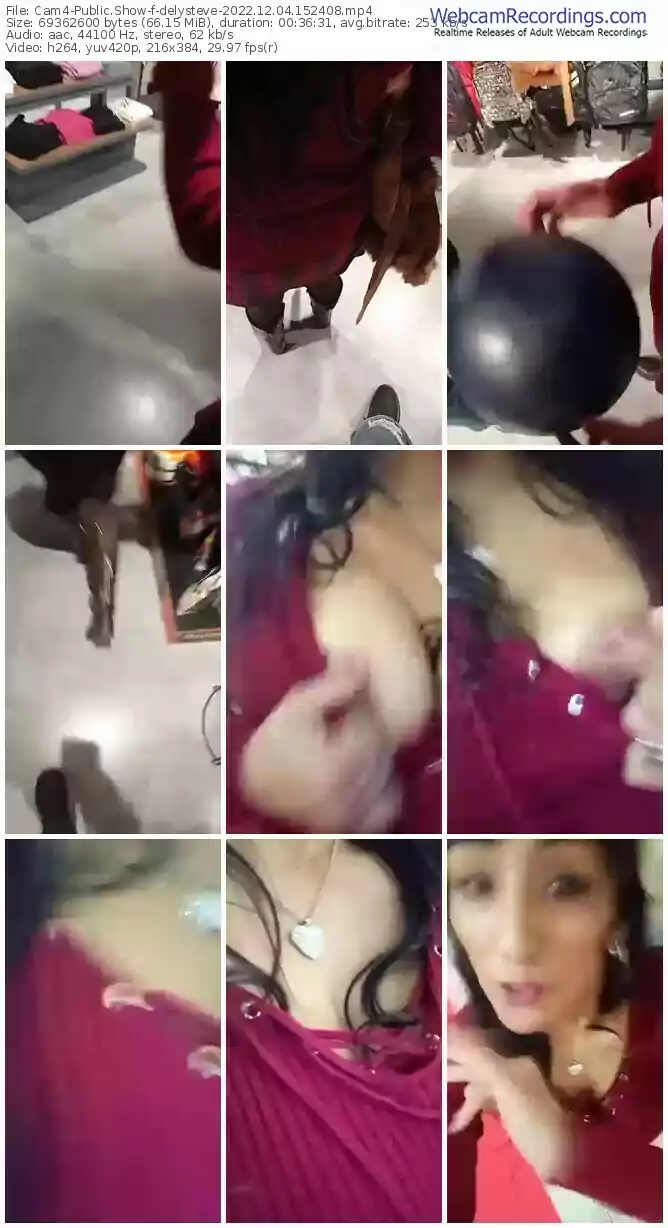 cam4-delysteve-12-04-2022-15-24-08