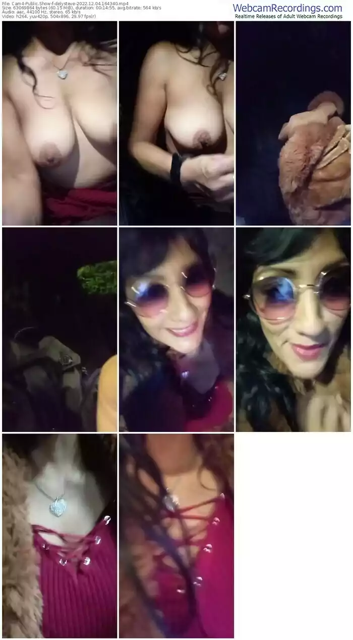 cam4-delysteve-12-04-2022-16-43-40