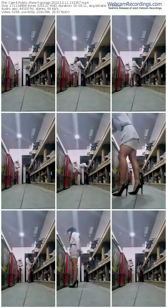 cam4-giulagi-12-11-2022-13-23-07