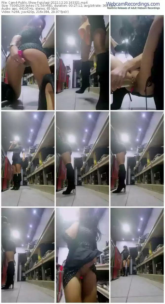 cam4-giulagi-12-20-2022-16-33-21