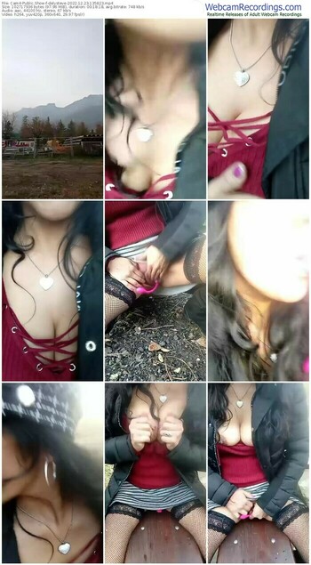 cam4-delysteve-12-23-2022-13-58-23