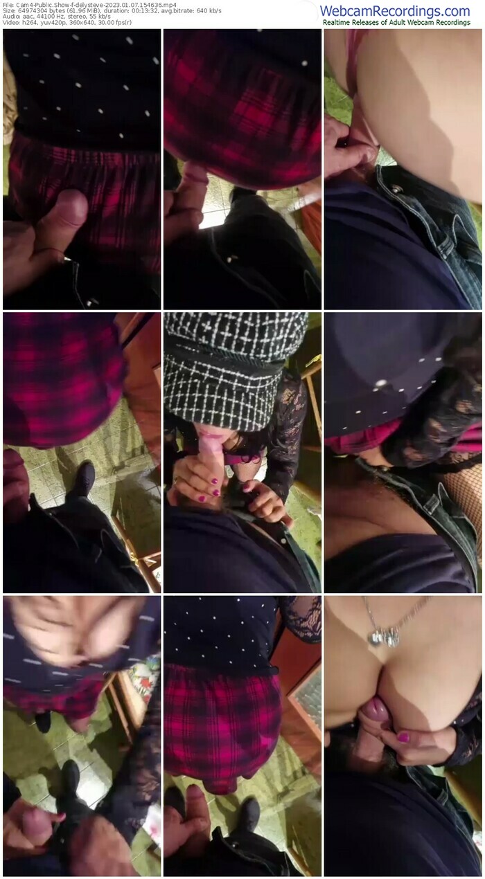 cam4-delysteve-01-07-2023-15-46-36