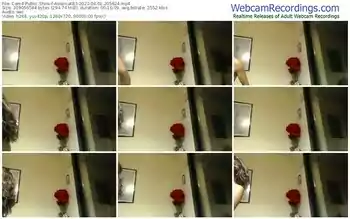 cam4-asiancat83-04-01-2023-20-56-24