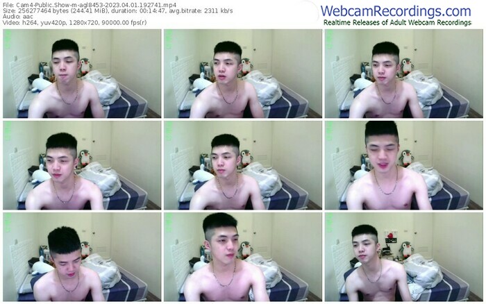 cam4-agl8453-04-01-2023-19-27-41