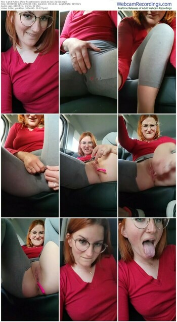 cam4-xpetitecerix-04-02-2023-17-16-00