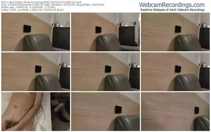 cam4-mango3950-04-03-2023-18-31-23