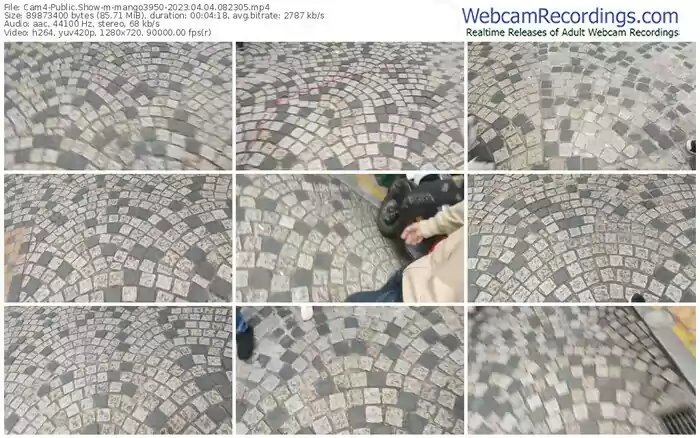 cam4-mango3950-04-04-2023-08-23-05