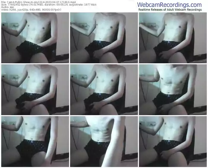 cam4-sky1314-04-07-2023-17-18-10