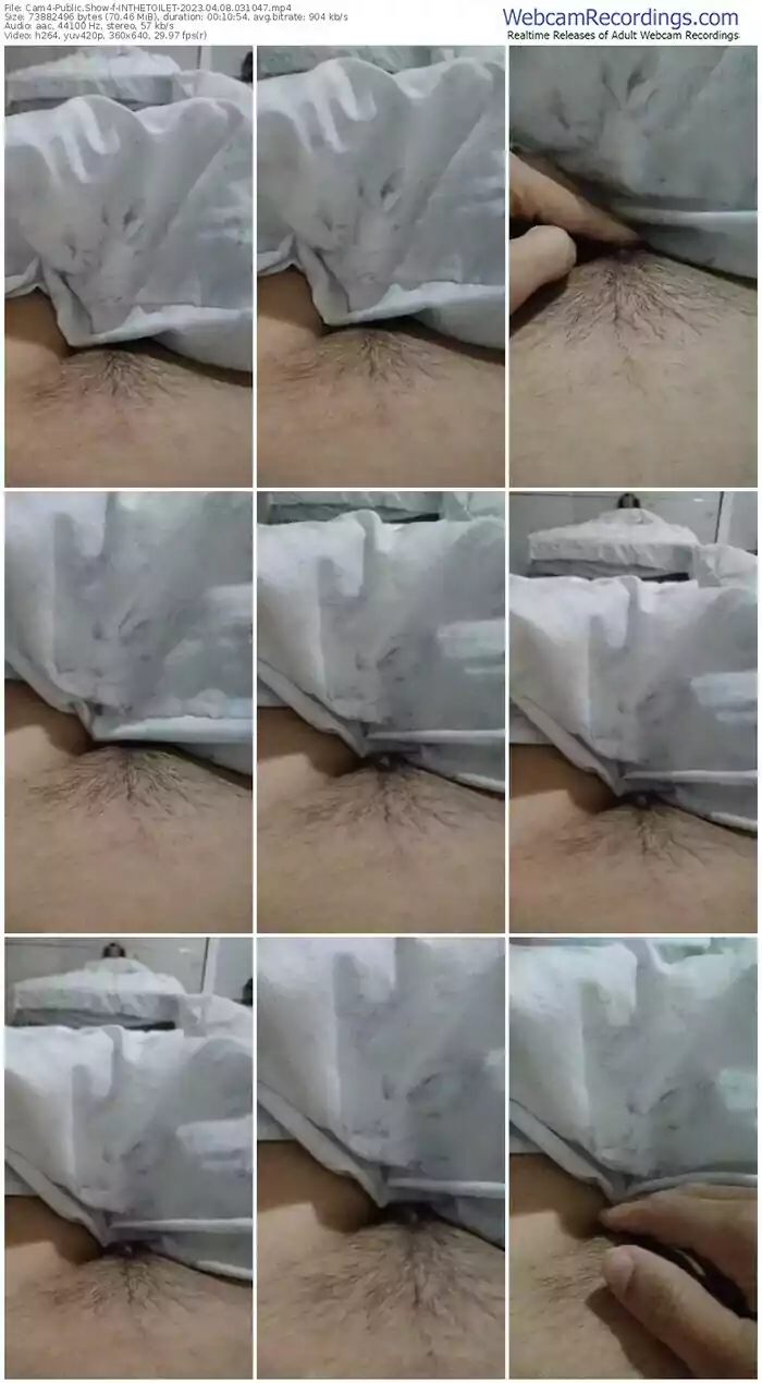 cam4-inthetoilet-04-08-2023-03-10-47
