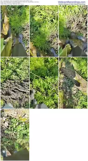 cam4-ninfa2000-04-08-2023-14-35-21