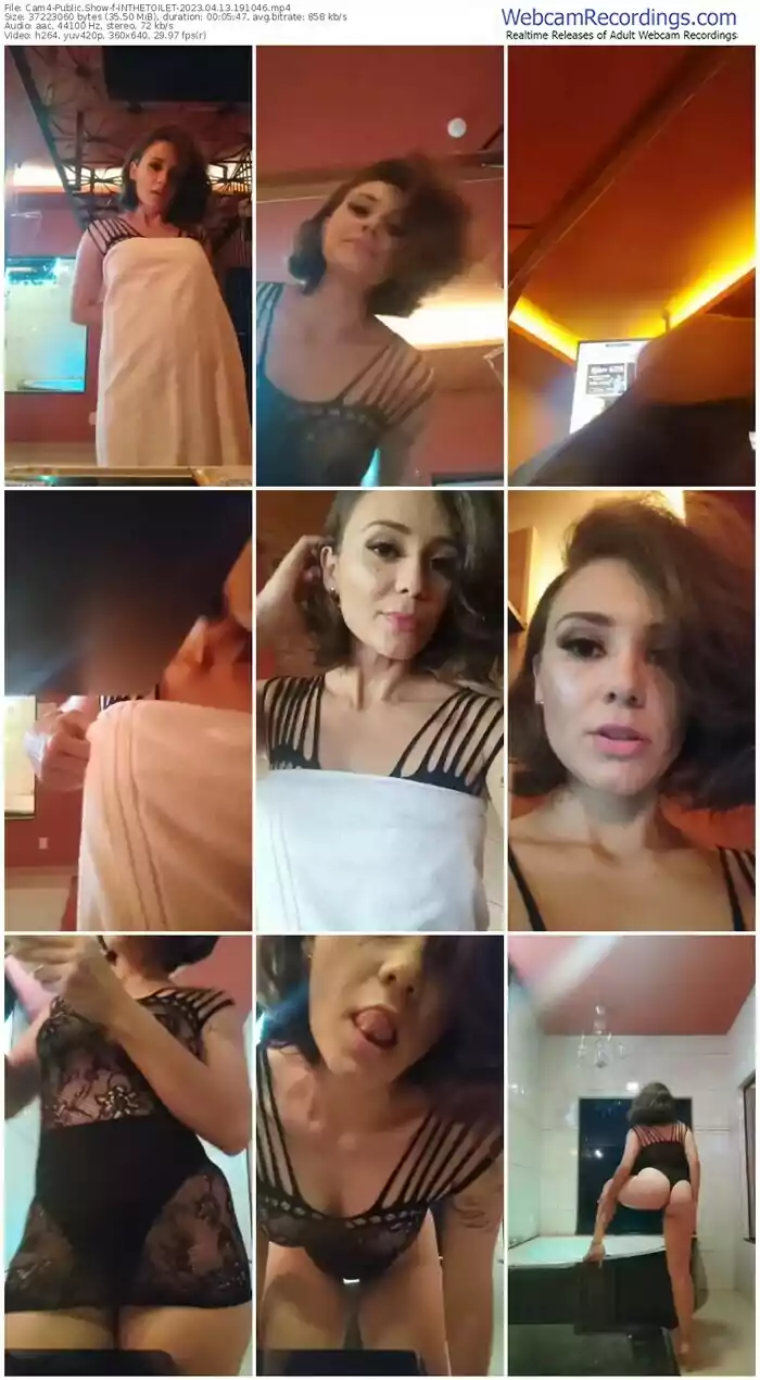 cam4-inthetoilet-04-13-2023-19-10-46
