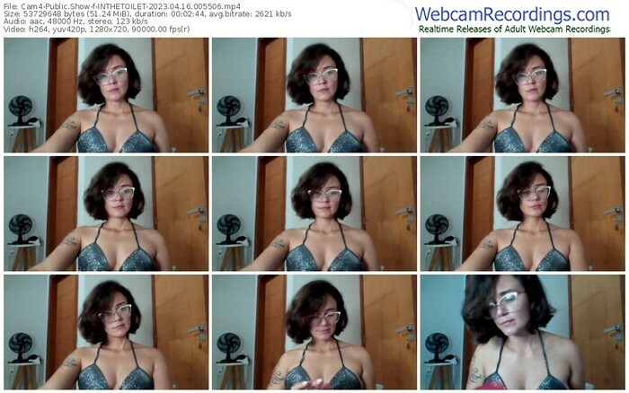 cam4-inthetoilet-04-16-2023-00-55-06