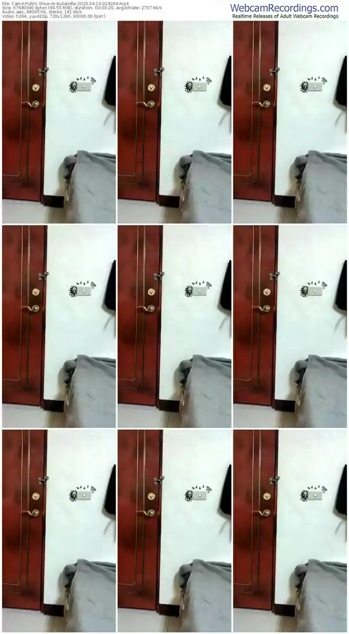 cam4-butansfw-04-16-2023-02-42-04