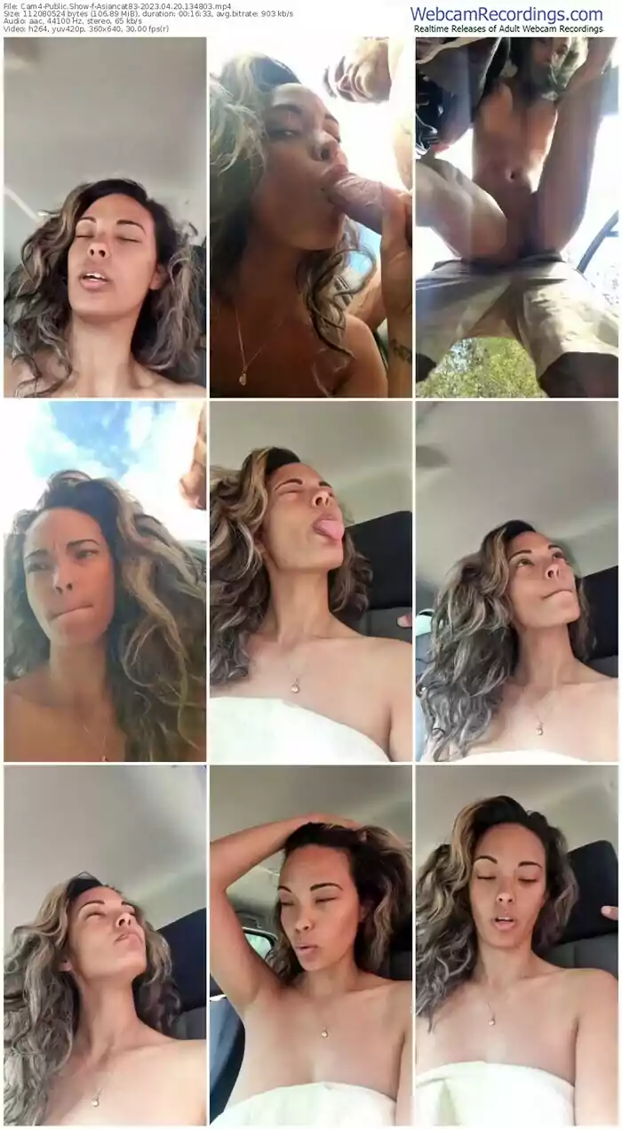 cam4-asiancat83-04-20-2023-13-48-03