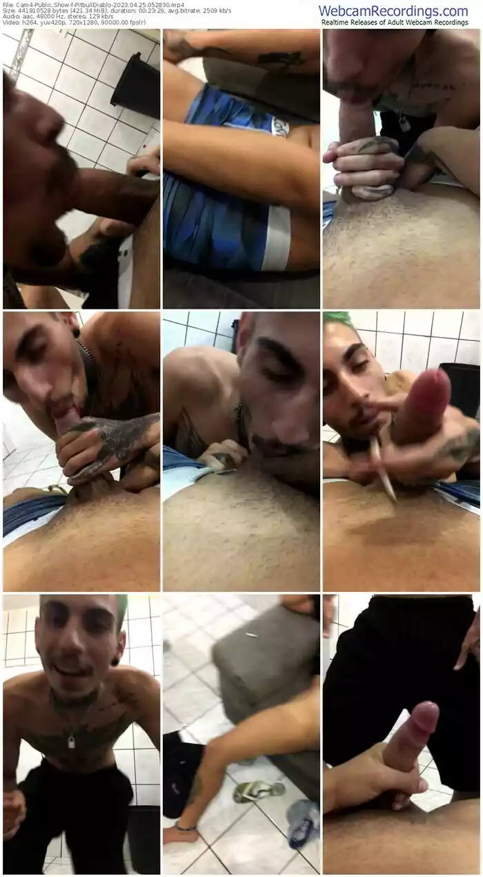 cam4-pitbulldiablo-04-25-2023-05-28-30