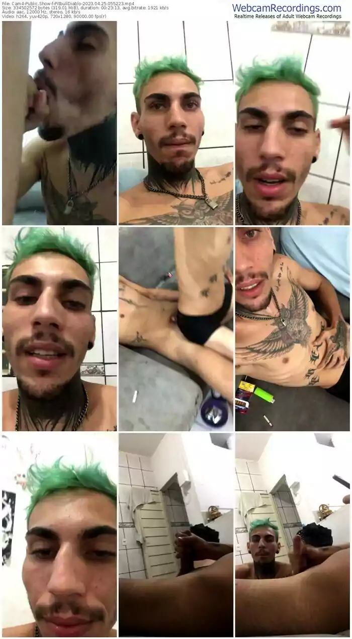 cam4-pitbulldiablo-04-25-2023-05-52-23