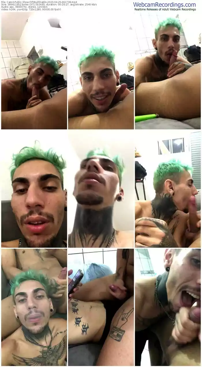 cam4-pitbulldiablo-04-25-2023-06-17-38