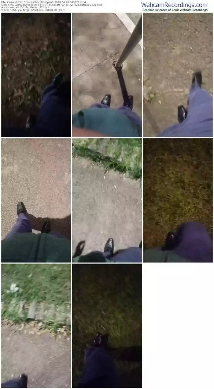 cam4-chocolatespzn3-04-26-2023-04-20-22