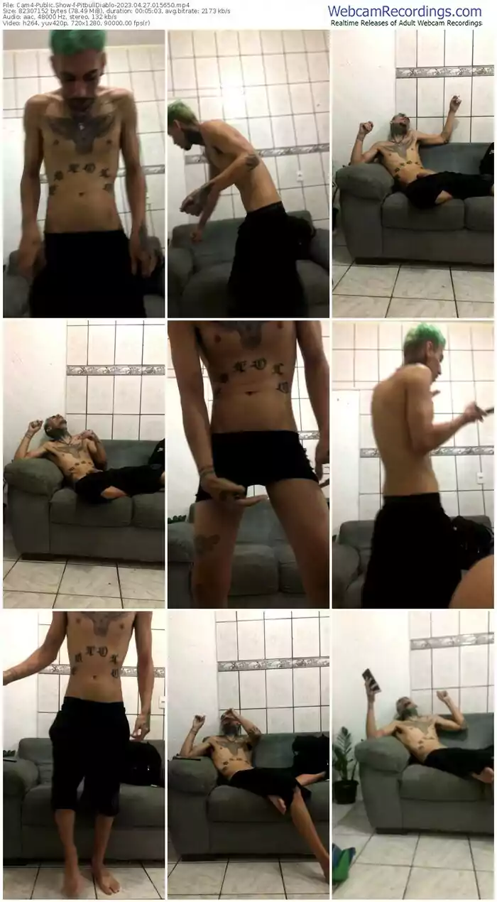 cam4-pitbulldiablo-04-27-2023-01-56-50