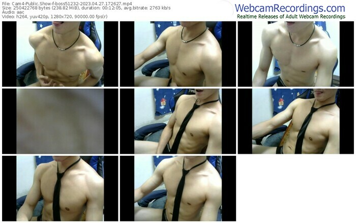 cam4-boss51232-04-27-2023-17-26-27