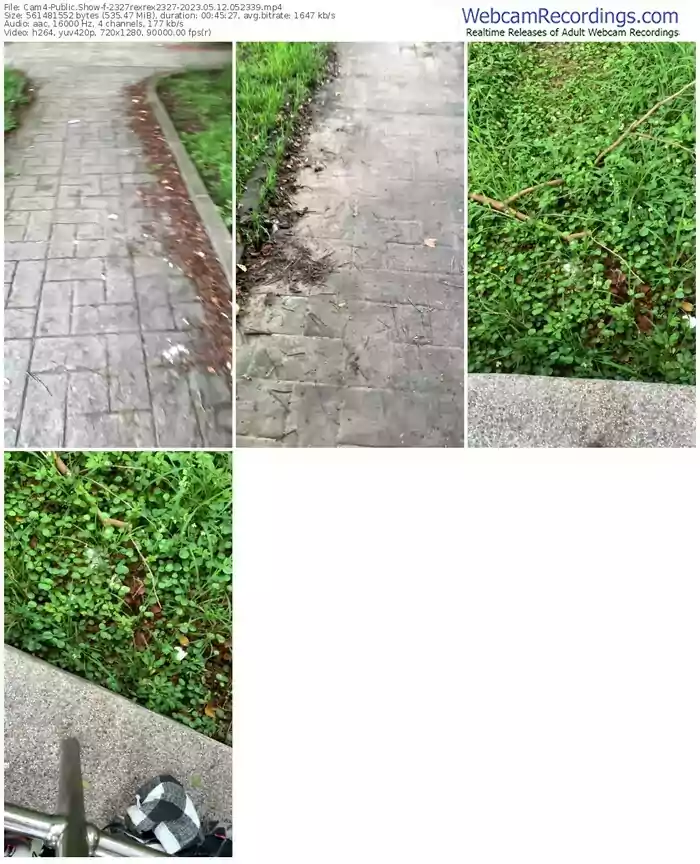 cam4-2327rexrex2327-05-12-2023-05-23-39