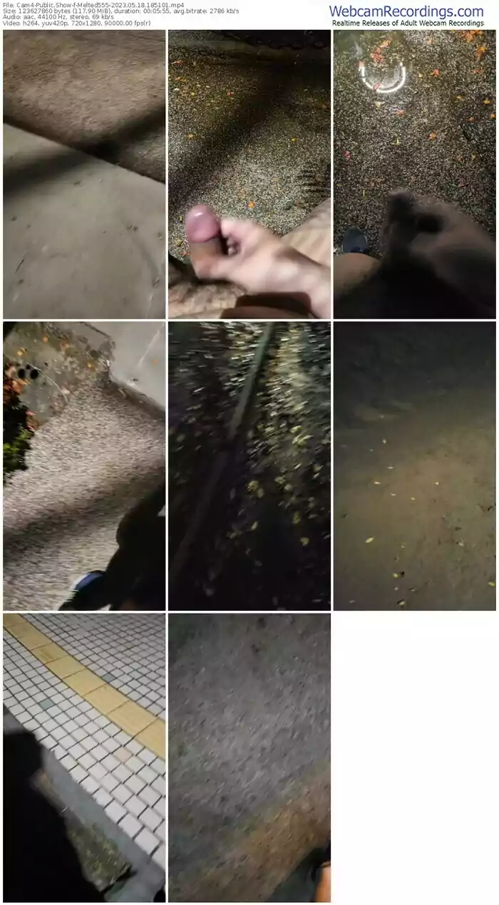 cam4-melted555-05-18-2023-18-51-01