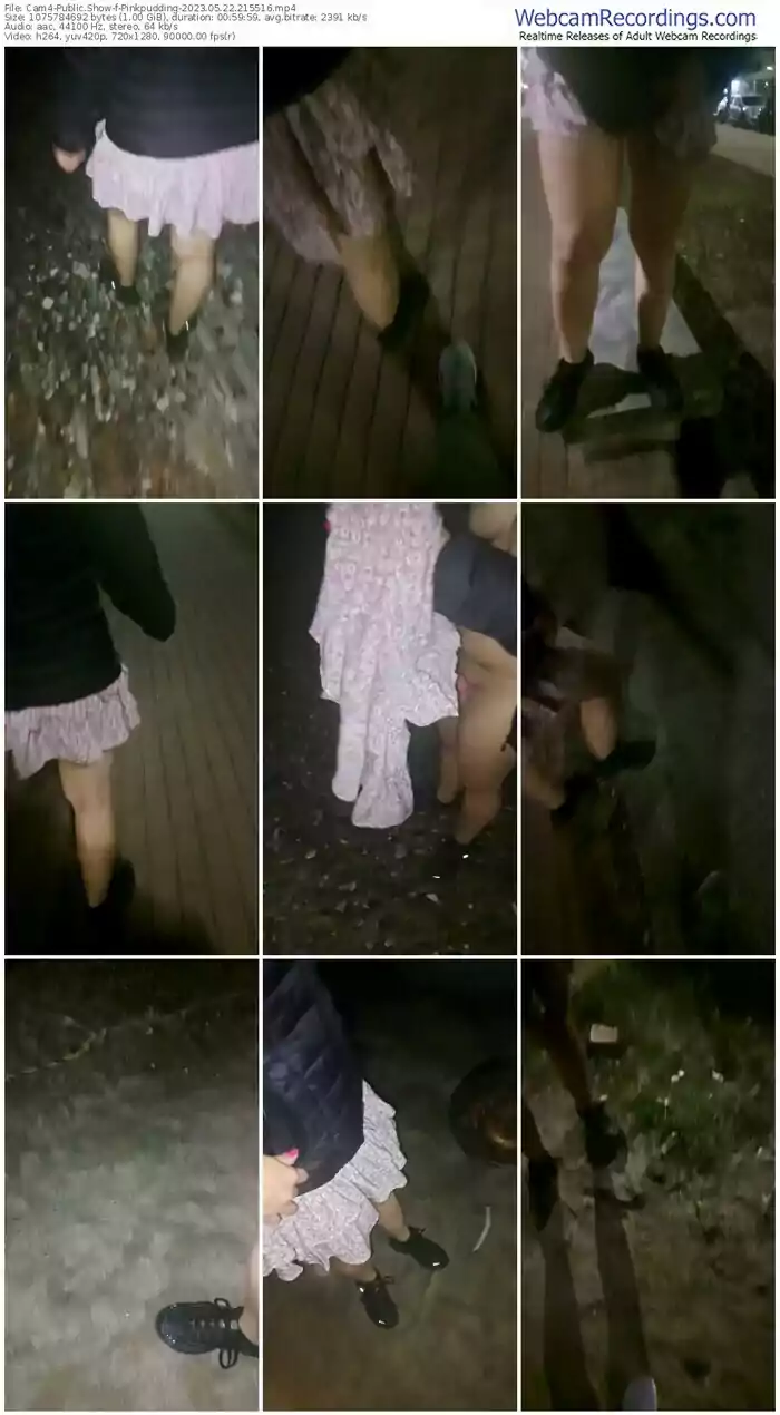 cam4-pinkpudding-05-22-2023-21-55-16