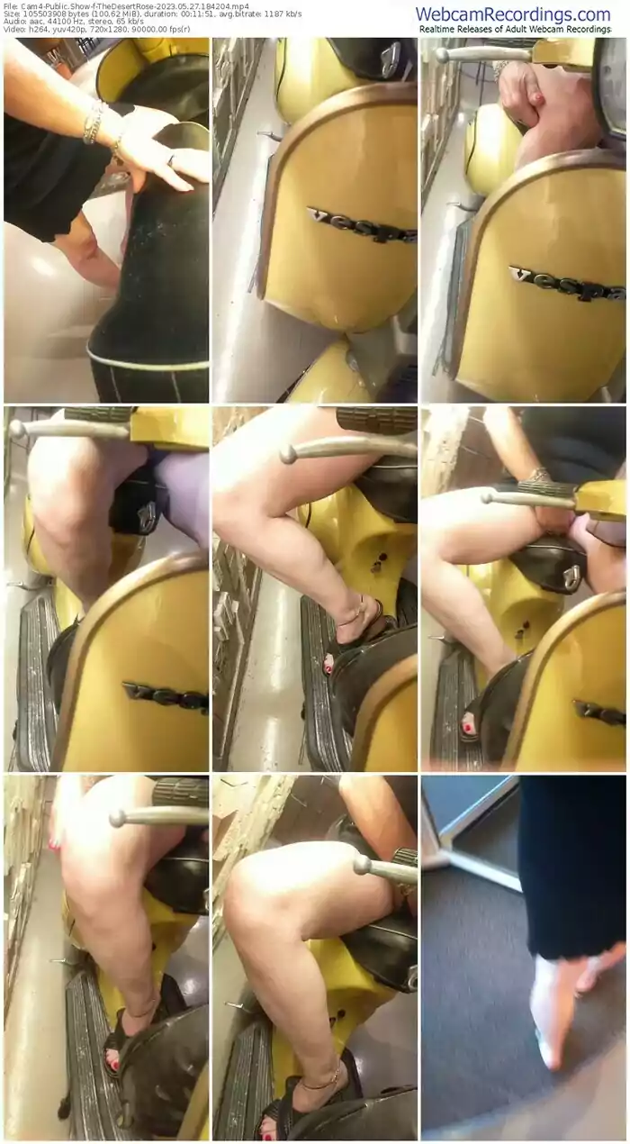 cam4-thedesertrose-05-27-2023-18-42-04