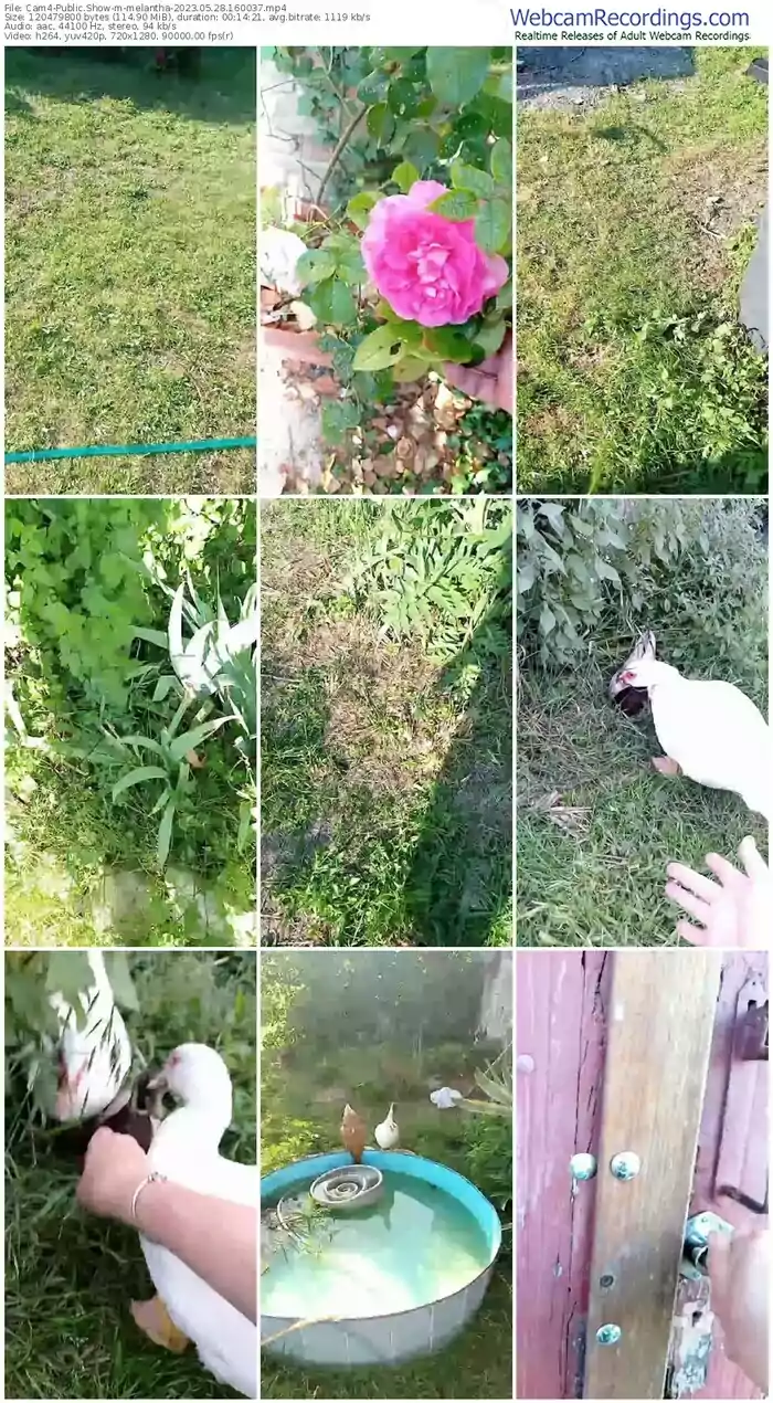 cam4-melantha-05-28-2023-16-00-37