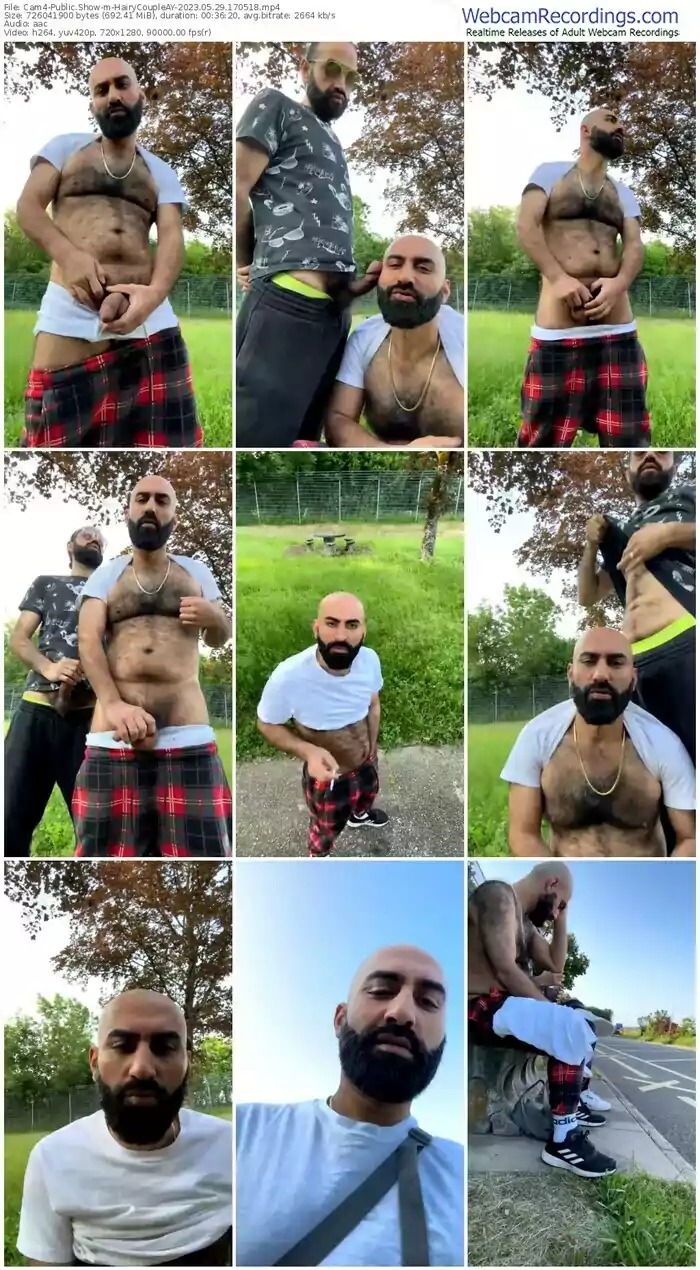 cam4-hairycoupleay-05-29-2023-17-05-18