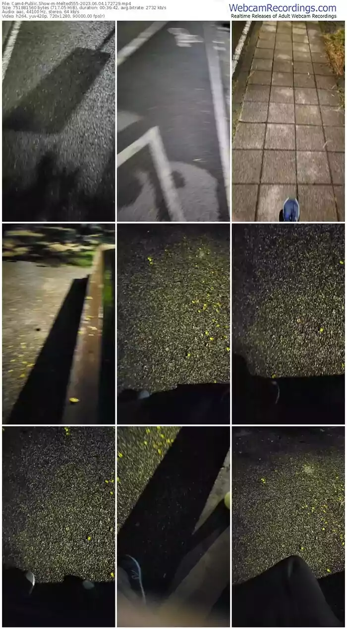 cam4-melted555-06-04-2023-17-27-29