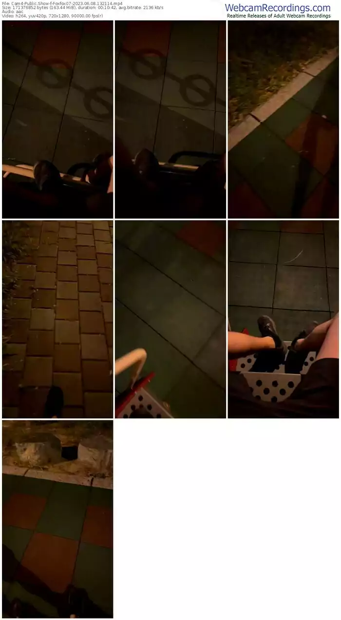 cam4-foxfox07-06-08-2023-13-21-14