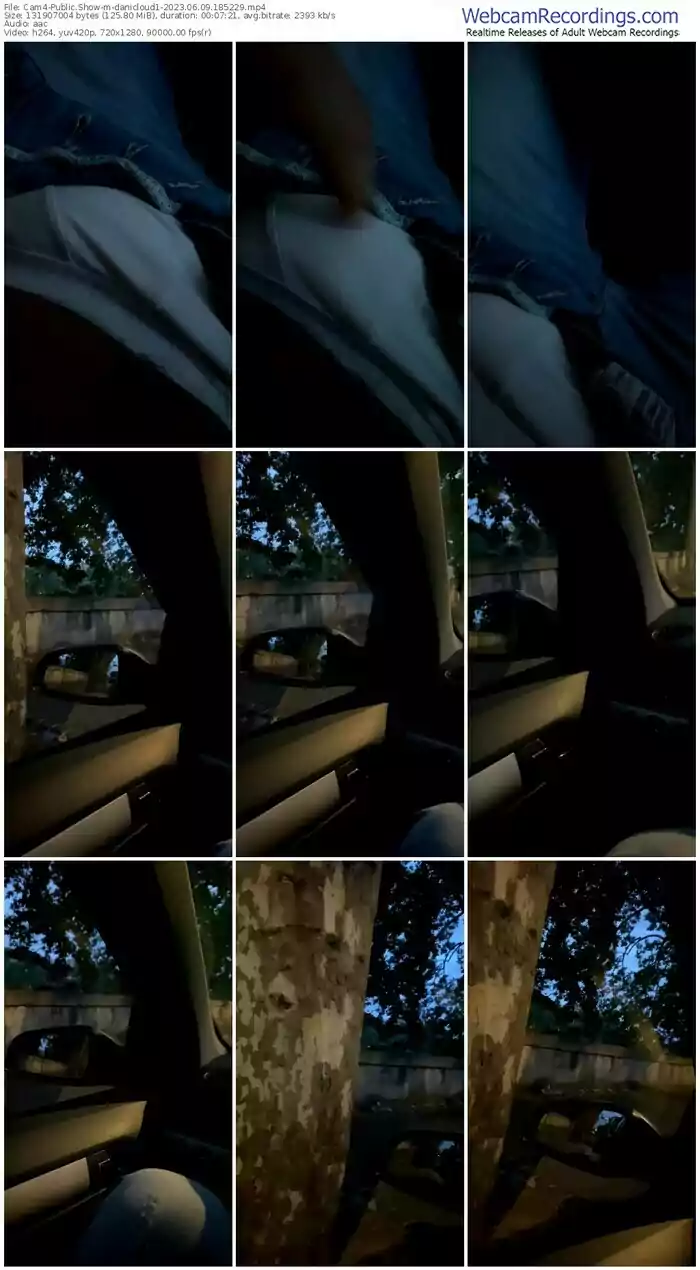 cam4-danicloud1-06-09-2023-18-52-29