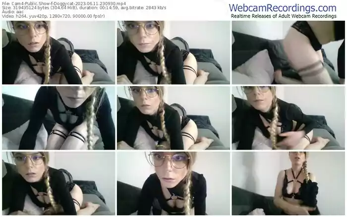 cam4-doggycat-06-11-2023-23-09-30