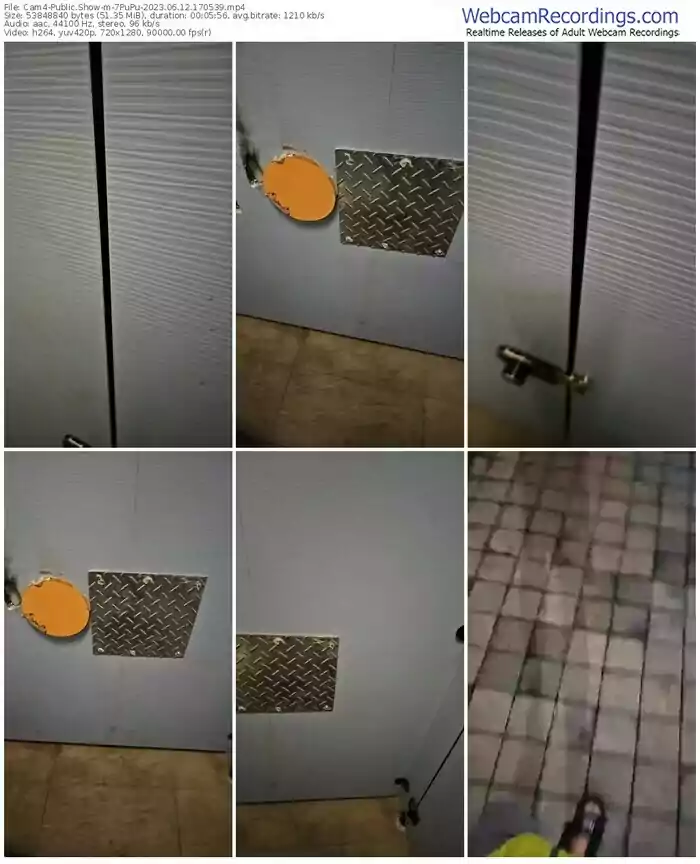 cam4-7pupu-06-12-2023-17-05-39