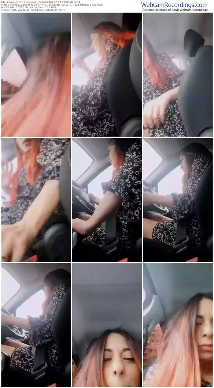 cam4-bichota29-06-12-2023-08-00-49