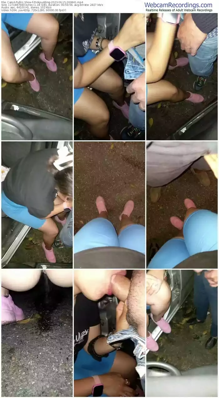 cam4-pinkpudding-06-15-2023-20-08-41