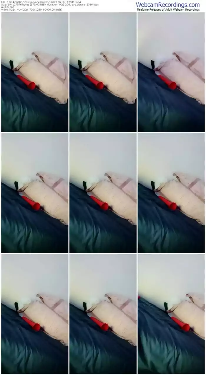 cam4-vanessafrenc-06-16-2023-11-23-41