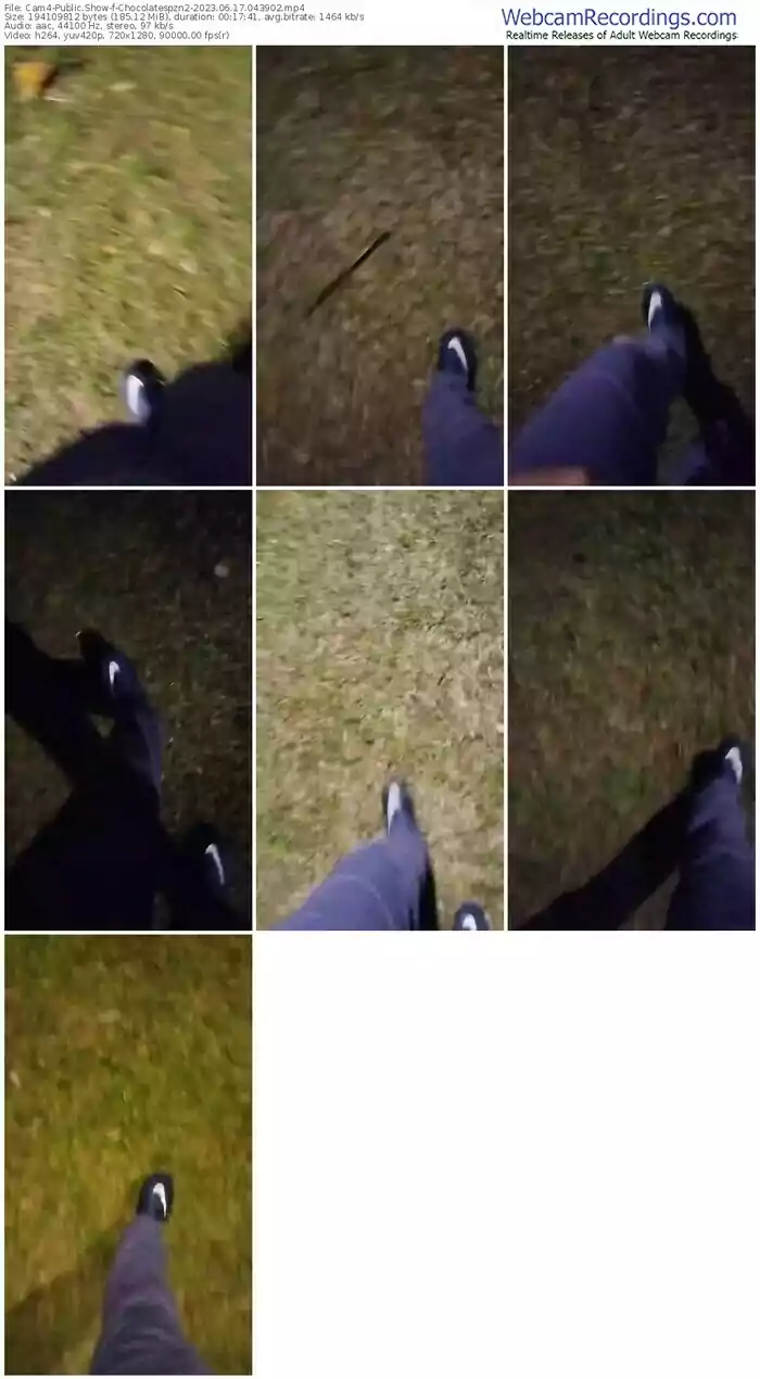 cam4-chocolatespzn2-06-17-2023-04-39-02