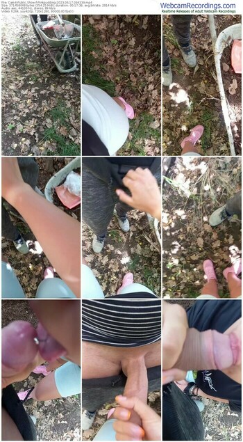cam4-pinkpudding-06-17-2023-09-43-39