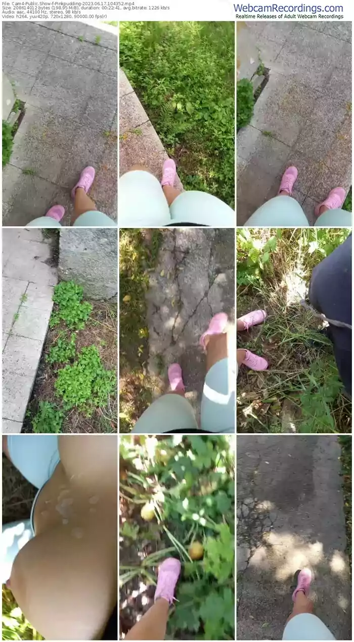 cam4-pinkpudding-06-17-2023-10-43-52