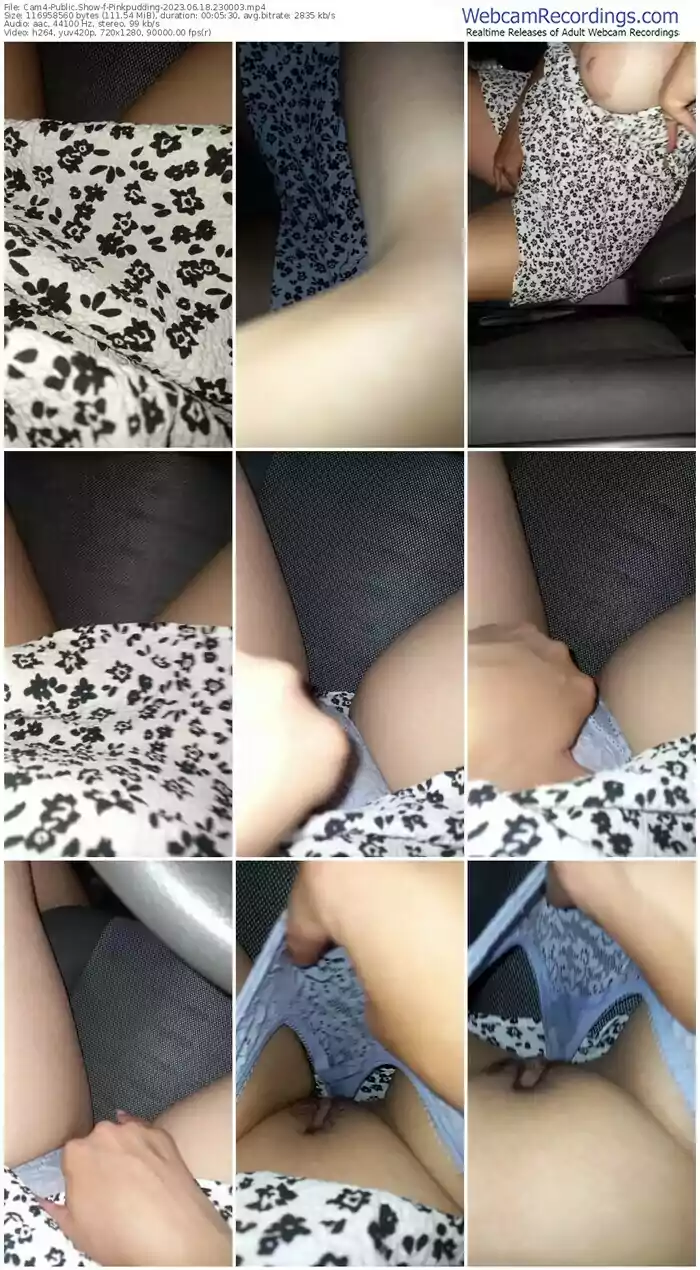 cam4-pinkpudding-06-18-2023-23-00-03