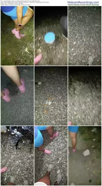 cam4-pinkpudding-06-21-2023-20-49-36